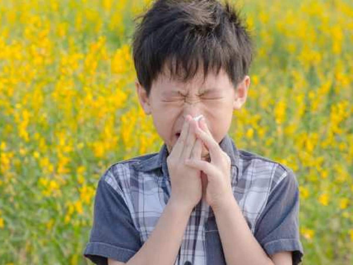 Childhood Allergies Causes And Transmission: What You Need To Do As A Parent